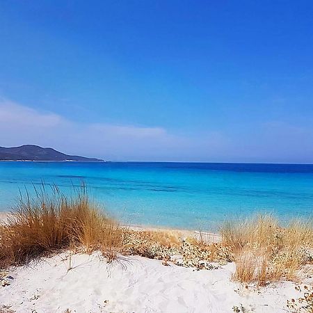 Appartement Vue Sur Mer Santa-Maria-di-Lota Kültér fotó
