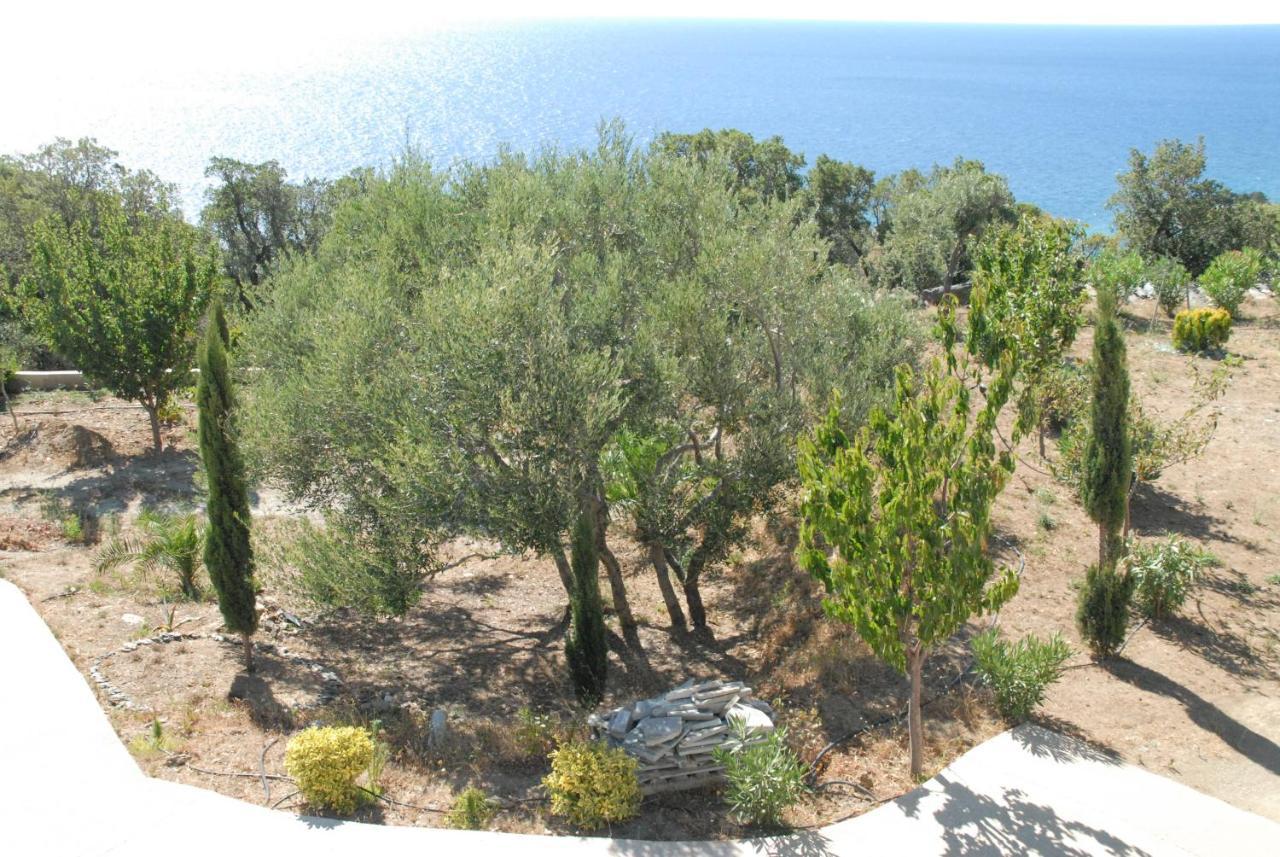 Appartement Vue Sur Mer Santa-Maria-di-Lota Kültér fotó