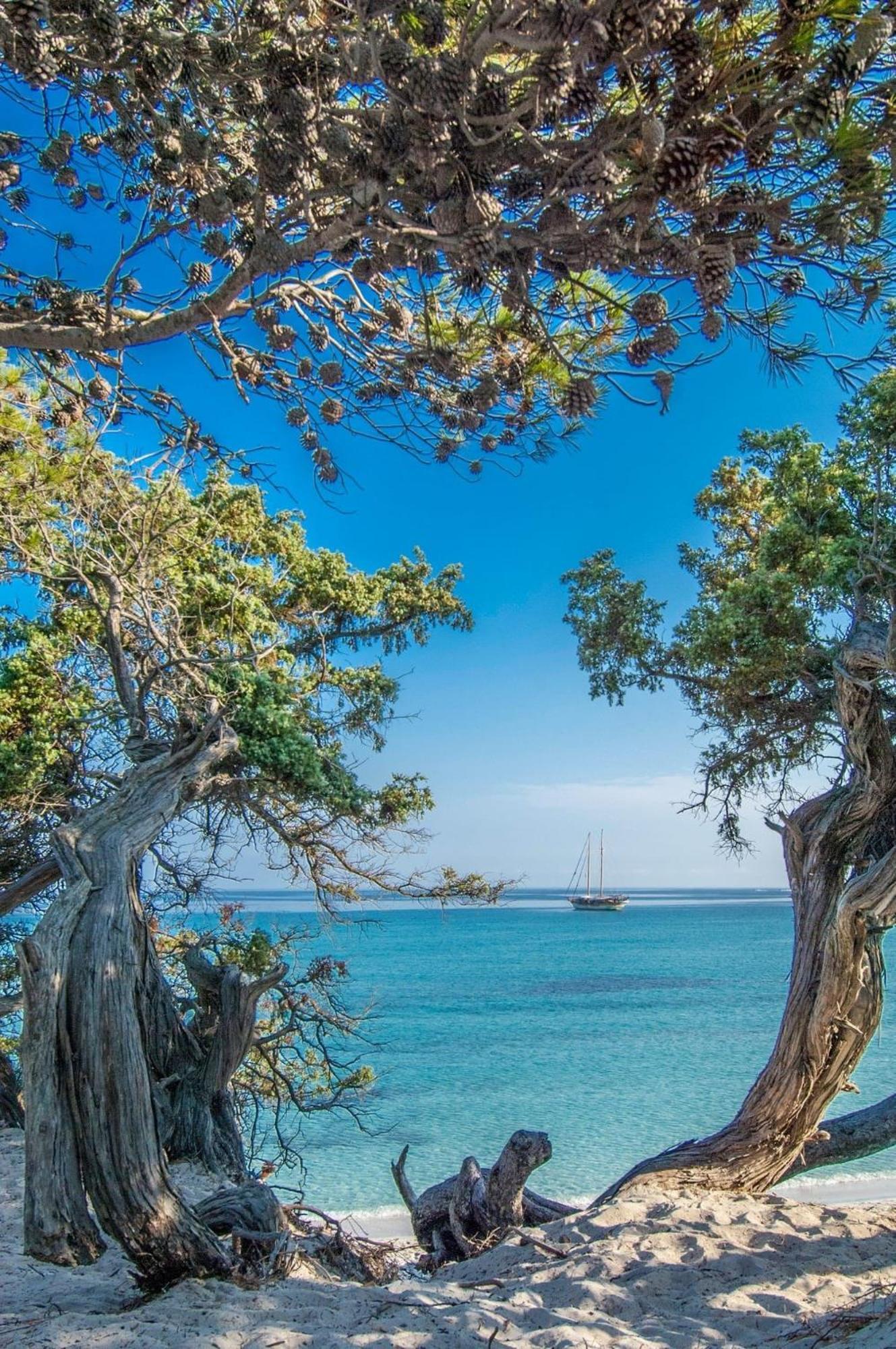 Appartement Vue Sur Mer Santa-Maria-di-Lota Kültér fotó